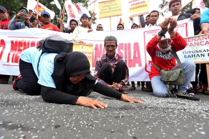 Unjuk Rasa Tolak Kebijakan Impor Beras - Bagian 3