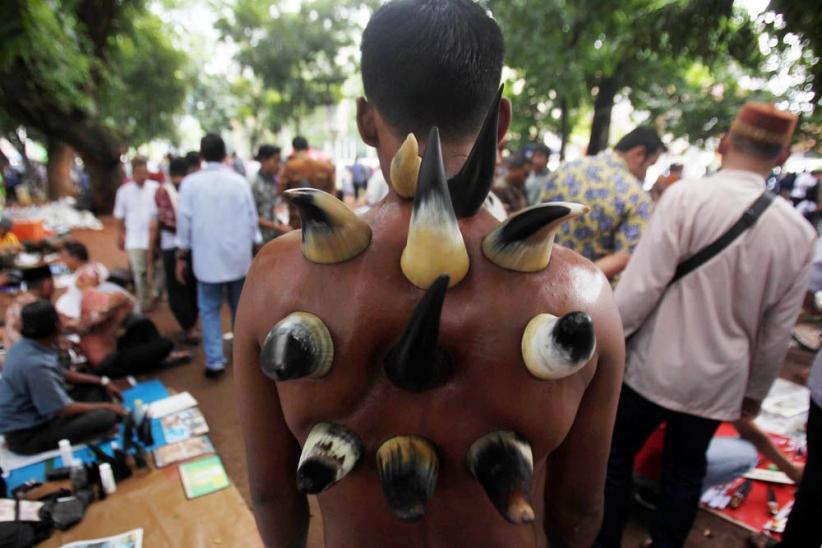 Unik, Terapi Bekam dengan Tanduk Kerbau - Bagian 1