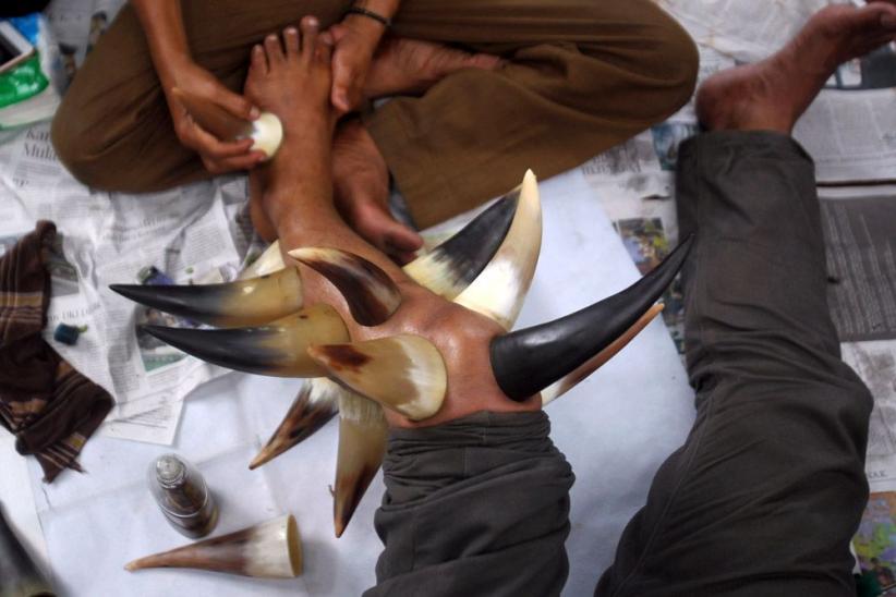 Unik, Terapi Bekam dengan Tanduk Kerbau - Bagian 9