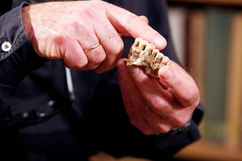 Ini Fosil Manusia Tertua yang Ditemukan di Israel - Bagian 2