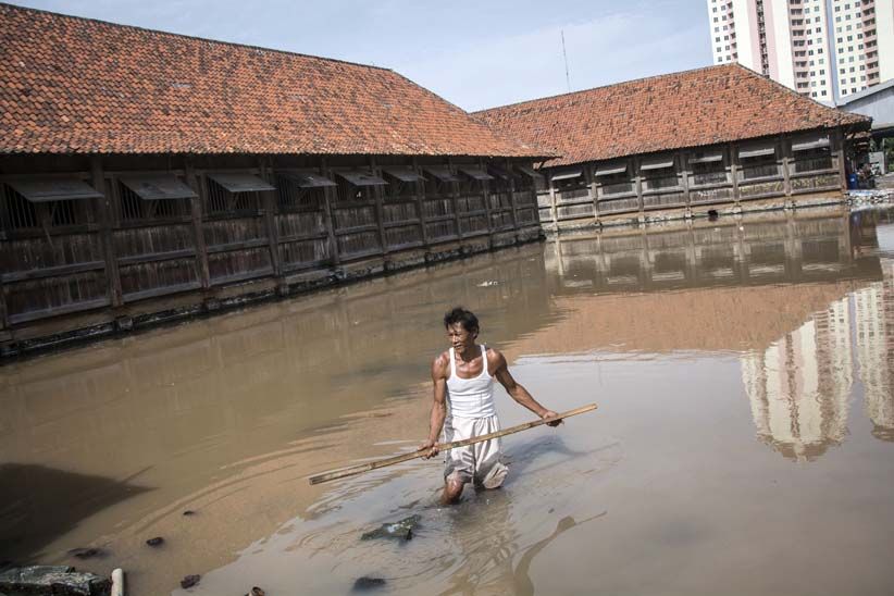 Setiap Tahun Permukaan Tanah Turun 12 Cm, Jakarta Rawan Tergenang Rob - Bagian 1