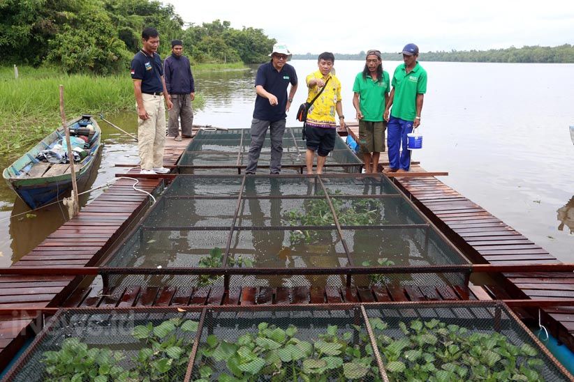 Budidaya Ikan Air Tawar dengan Keramba Jaring Apung - Bagian 4