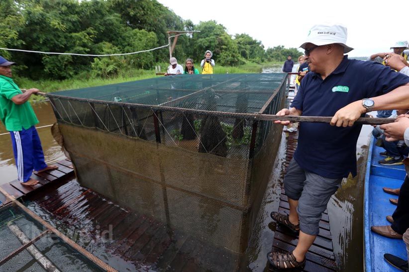 Budidaya Ikan Air Tawar dengan Keramba Jaring Apung - Bagian 5