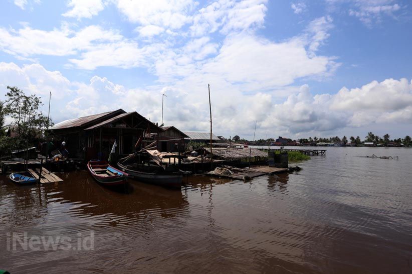 Inovasi Lahan Pertanian Tanpa Bakar di Kotawaringin Barat - Bagian 6
