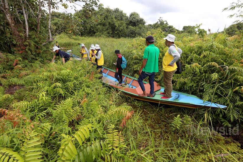 Menjelajahi Suaka Margasatwa Sungai Lamandau di Kalimantan Tengah  - Bagian 8