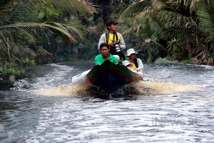 Menjelajahi Suaka Margasatwa Sungai Lamandau di Kalimantan Tengah  - Bagian 3