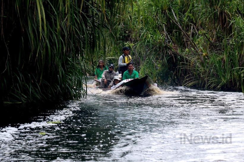 Menjelajahi Suaka Margasatwa Sungai Lamandau di Kalimantan Tengah  - Bagian 2