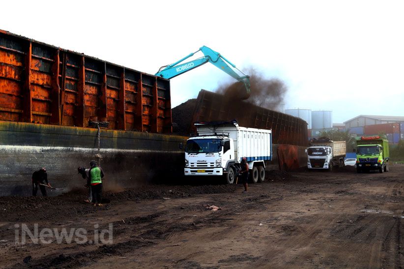 Begini Aktivitas Bongkar Muat Batubara di Pelabuhan Cilincing - Bagian 3