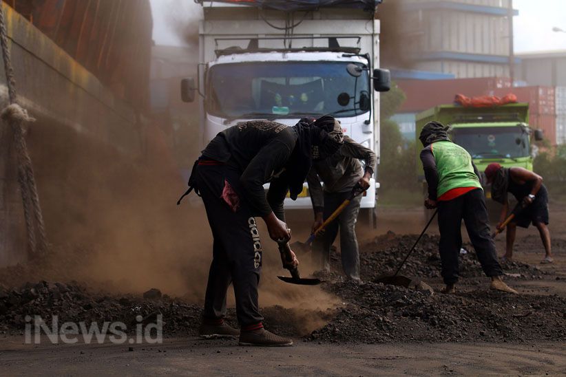 Begini Aktivitas Bongkar Muat Batubara di Pelabuhan Cilincing - Bagian 5