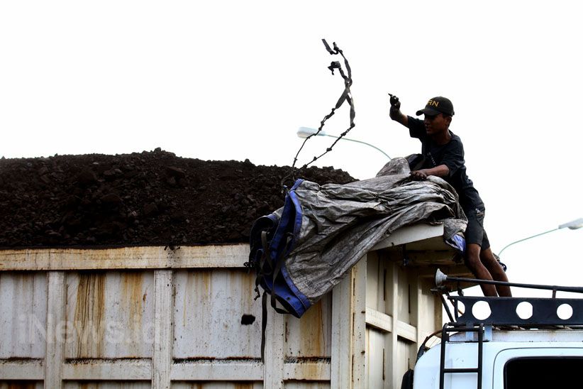 Begini Aktivitas Bongkar Muat Batubara di Pelabuhan Cilincing - Bagian 6
