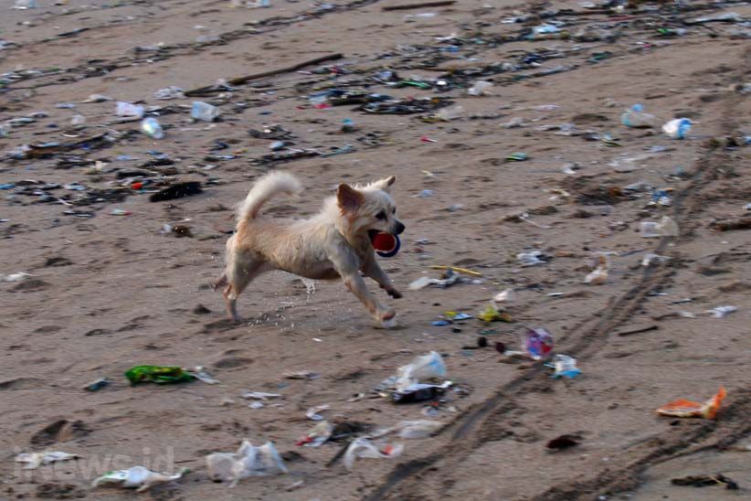 Dipenuhi Sampah, Begini Kondisi Memprihatinkan Pantai Kuta Bali - Bagian 9