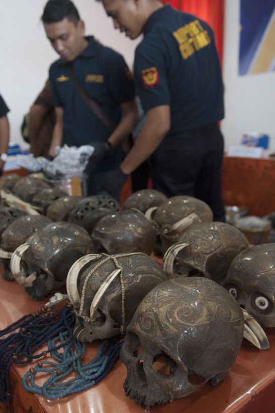 Bea Cukai Ngurah Rai Gagalkan Ekspor Tengkorak Manusia - Bagian 5