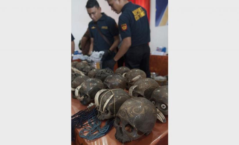 Bea Cukai Ngurah Rai Gagalkan Ekspor Tengkorak Manusia - Bagian 4