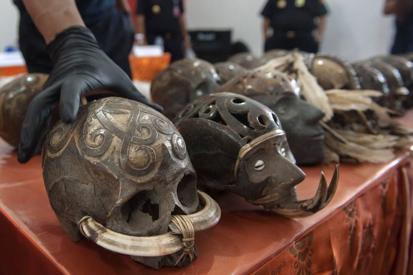 Bea Cukai Ngurah Rai Gagalkan Ekspor Tengkorak Manusia - Bagian 1