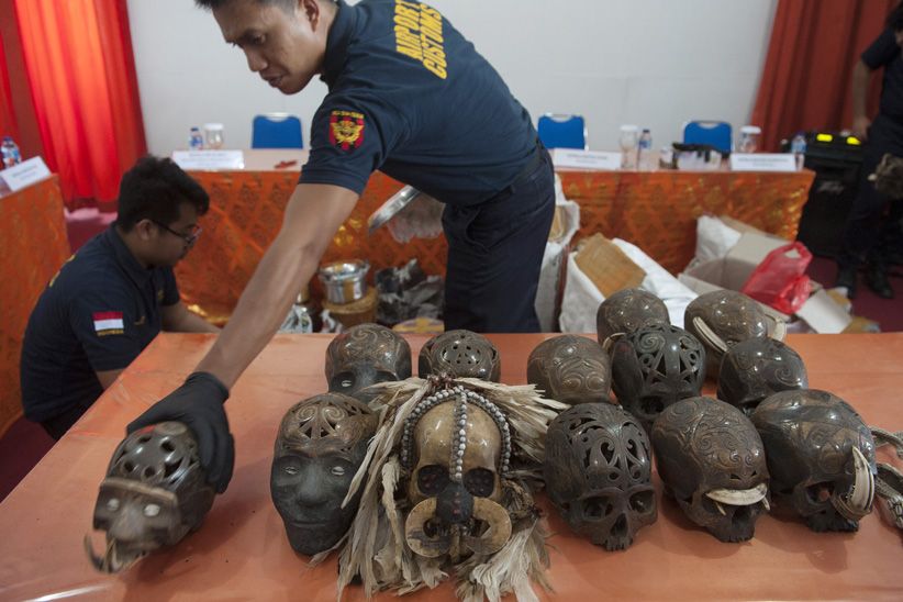 Bea Cukai Ngurah Rai Gagalkan Ekspor Tengkorak Manusia - Bagian 2