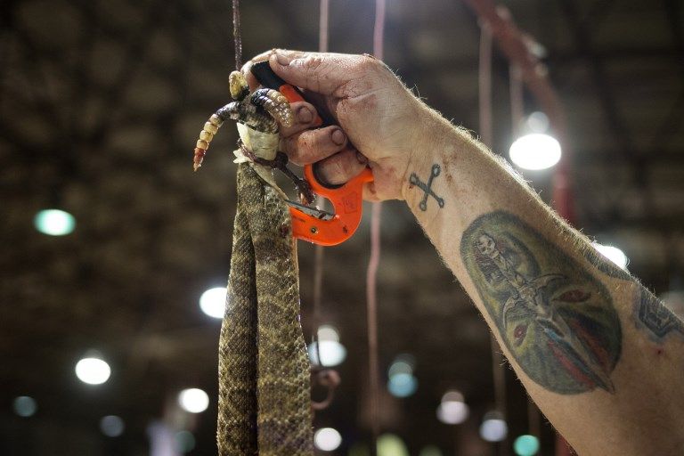 Wanita Texas Ini Dikepung Ribuan Ular Derik - Bagian 12