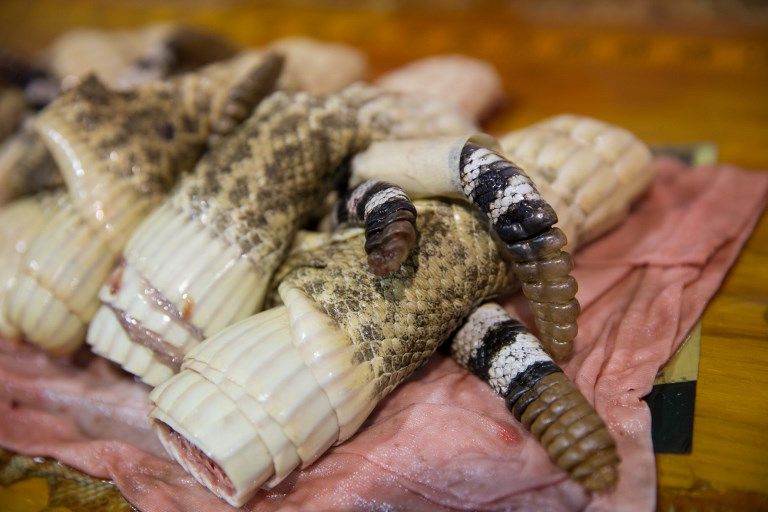 Wanita Texas Ini Dikepung Ribuan Ular Derik - Bagian 10