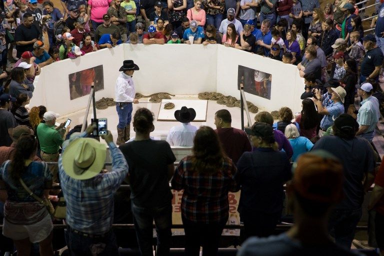 Wanita Texas Ini Dikepung Ribuan Ular Derik - Bagian 6