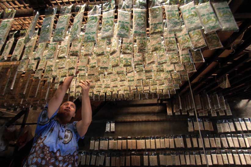 Pengusaha Tempe Keluhkan Tingginya Harga Kedelai - Bagian 1