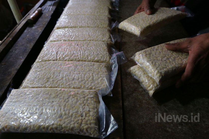 Pemerintah Berencana Setop Impor Kedelai Tahun 2020 - Bagian 2