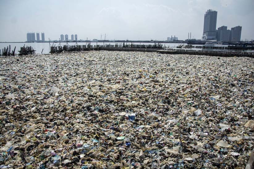 Teluk Jakarta Tercemar Sampah Rumah Tangga - Bagian 2