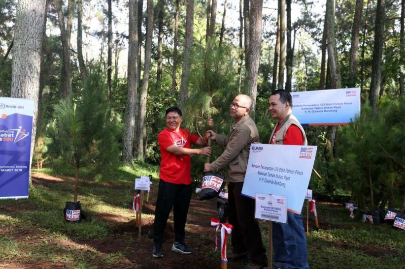 Peduli Lingkungan, Bank BRI Tanam 123 Bibit Pohon Pinus - Bagian 3