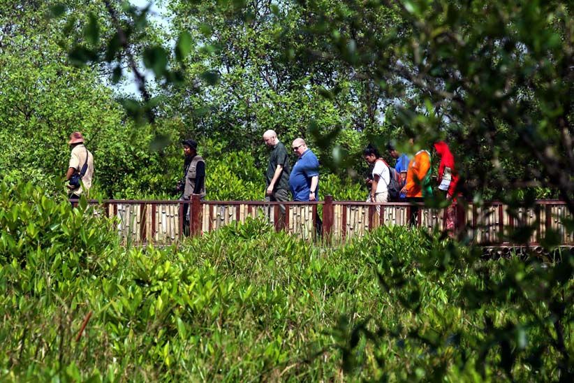 Wali Kota Liverpool Jalan-Jalan ke Hutan Mangrove Surabaya - Bagian 3