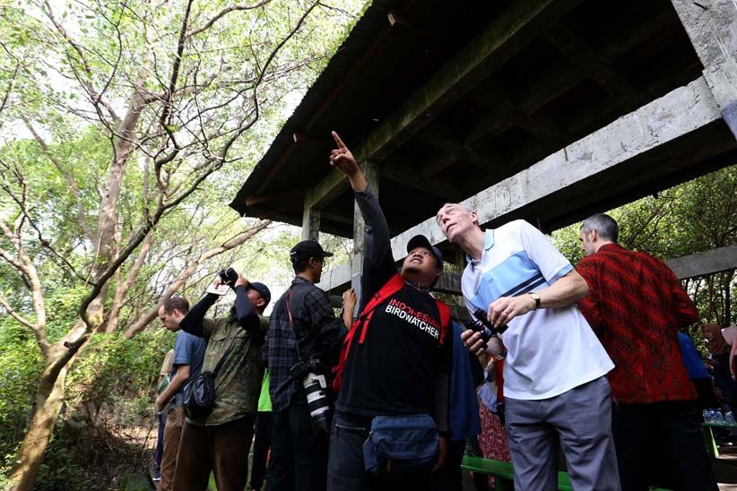 Wali Kota Liverpool Jalan-Jalan ke Hutan Mangrove Surabaya - Bagian 8