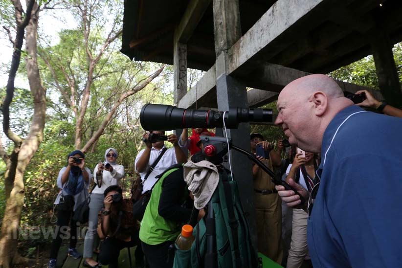 Wali Kota Liverpool Jalan-Jalan ke Hutan Mangrove Surabaya - Bagian 4