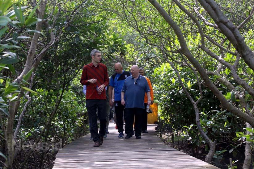 Wali Kota Liverpool Jalan-Jalan ke Hutan Mangrove Surabaya - Bagian 5