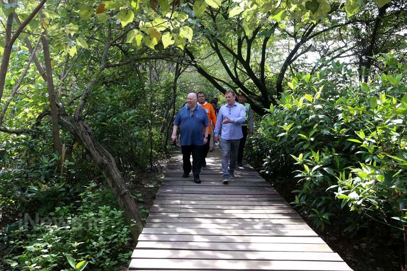 Wali Kota Liverpool Jalan-Jalan ke Hutan Mangrove Surabaya - Bagian 1