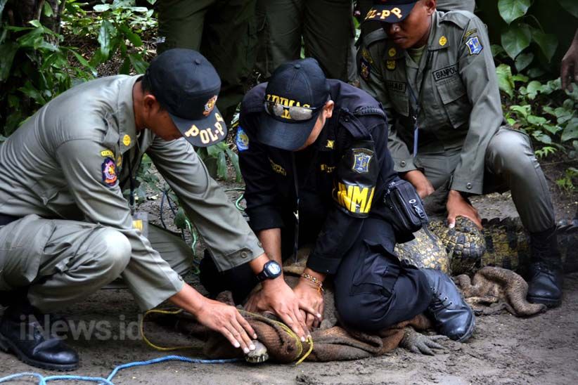 Satwa Liar Sering Muncul, Petugas Ini Dibekali Penanganan Hewan Buas - Bagian 2