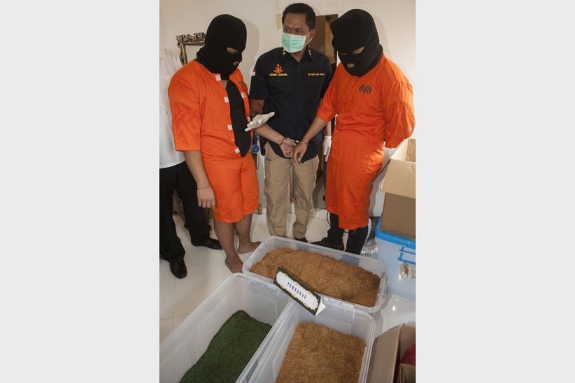 Polisi dan Bea Cukai Gerebek Pabrik Tembakau Gorila di Bali - Bagian 4