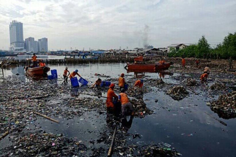 Sampah Teluk Jakarta Tersisa 40 Persen - Bagian 1