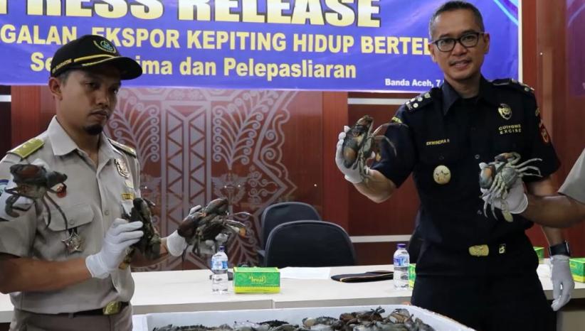 title 2.500 Kepiting Gagal Diselundupkan dari Bandara Aceh ke Taiwan 2.500 Kepiting Gagal Diselundupkan dari Bandara Aceh ke Taiwan