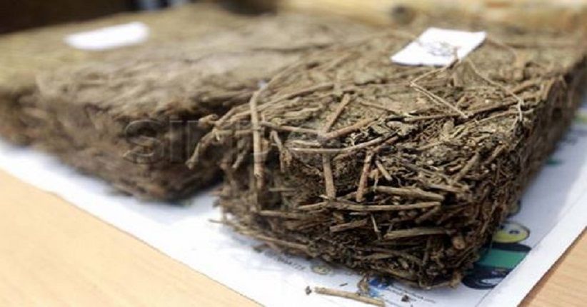 Ganja 12 Kg Diselundupkan dengan Mengendarai Sepeda Motor