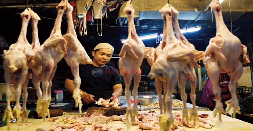 Pedagang Ayam di Bandung Ancam Mogok Jualan hingga Senin Pekan Depan