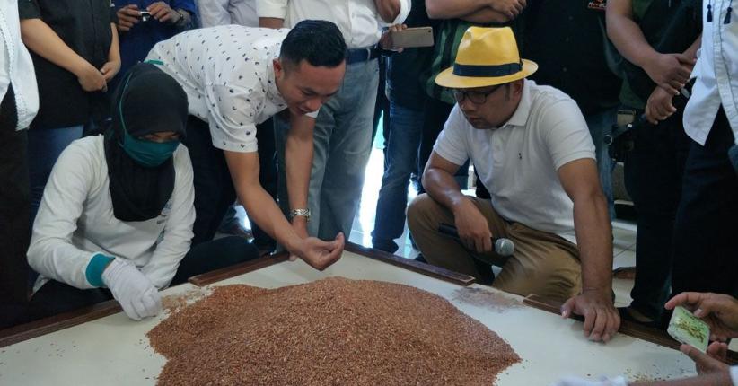 Ridwan Kamil Ajak Petani Jabar Hasilkan Beras Organik