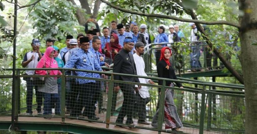 Kini Bandung Punya Forest Walk Terpanjang se-Asia Tenggara