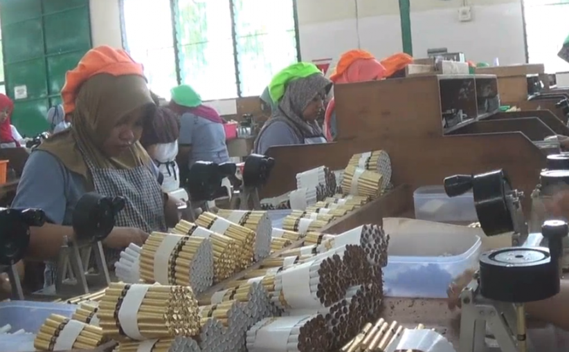  Cukai Rokok Naik, Buruh di Kendal Cemas