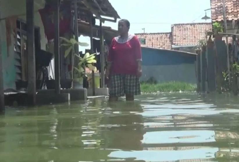 Banjir Air Pasang Naik Lagi, Ratusan Rumah di Pekalongan Terendam