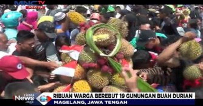 Panen Melimpah, Ribuan Warga Magelang Antusias Ikut Festival Durian