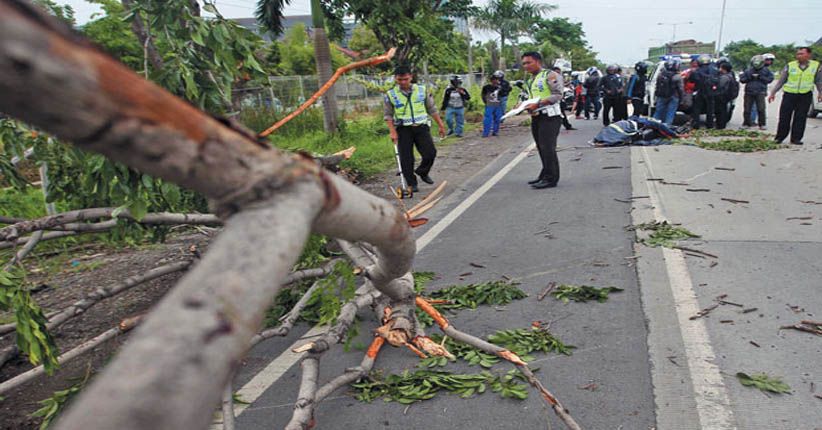 Tak Ada Angin dan Hujan, 2 Remaja di Banjarnegara Tewas Tertimpa Pohon