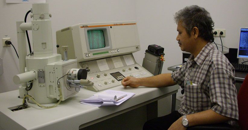 Temukan 150 Varian Jambu di Sumatera, Dosen Ini Mendunia 