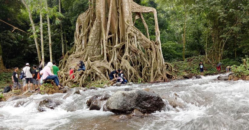 Wisata Akar Seribu yang Bikin Penasaran di Mojokerto