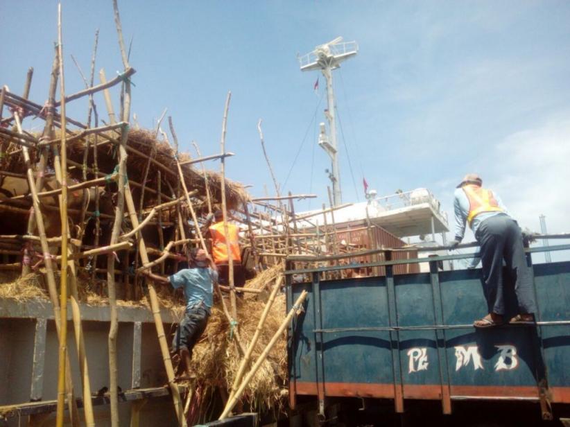 Populasi Berlimpah, Jatim Rutin Datangkan 2.000 Ekor Sapi NTT