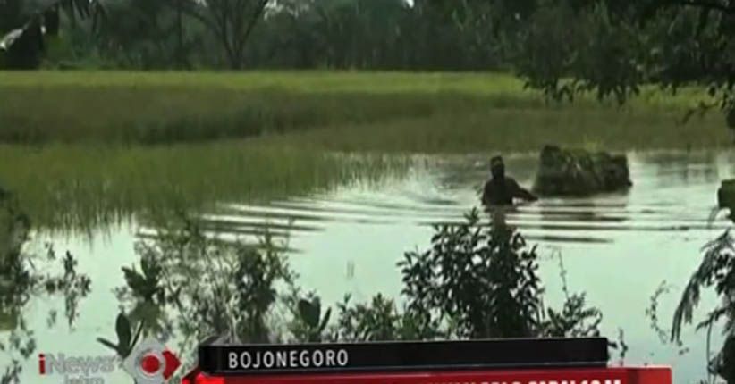 Kerugian akibat Banjir Bengawan Solo di Bojonegoro Capai Rp13 Miliar