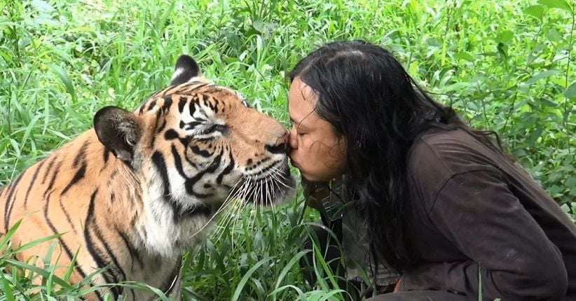 Persahabatan 10 Tahun Sholeh dan Mulan Jamilah Si Harimau Benggala