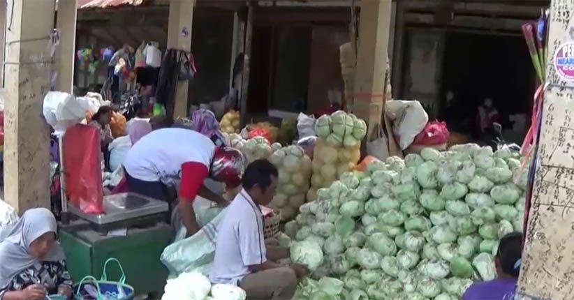 Kubis Diduga Berpengawet Semen Putih Resahkan Warga Magetan