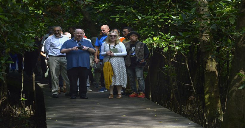 title Hunting Foto, Wali Kota Liverpool Terpesona Keindahan Hutan Mangrove  Hunting Foto, Wali Kota Liverpool Terpesona Keindahan Hutan Mangrove